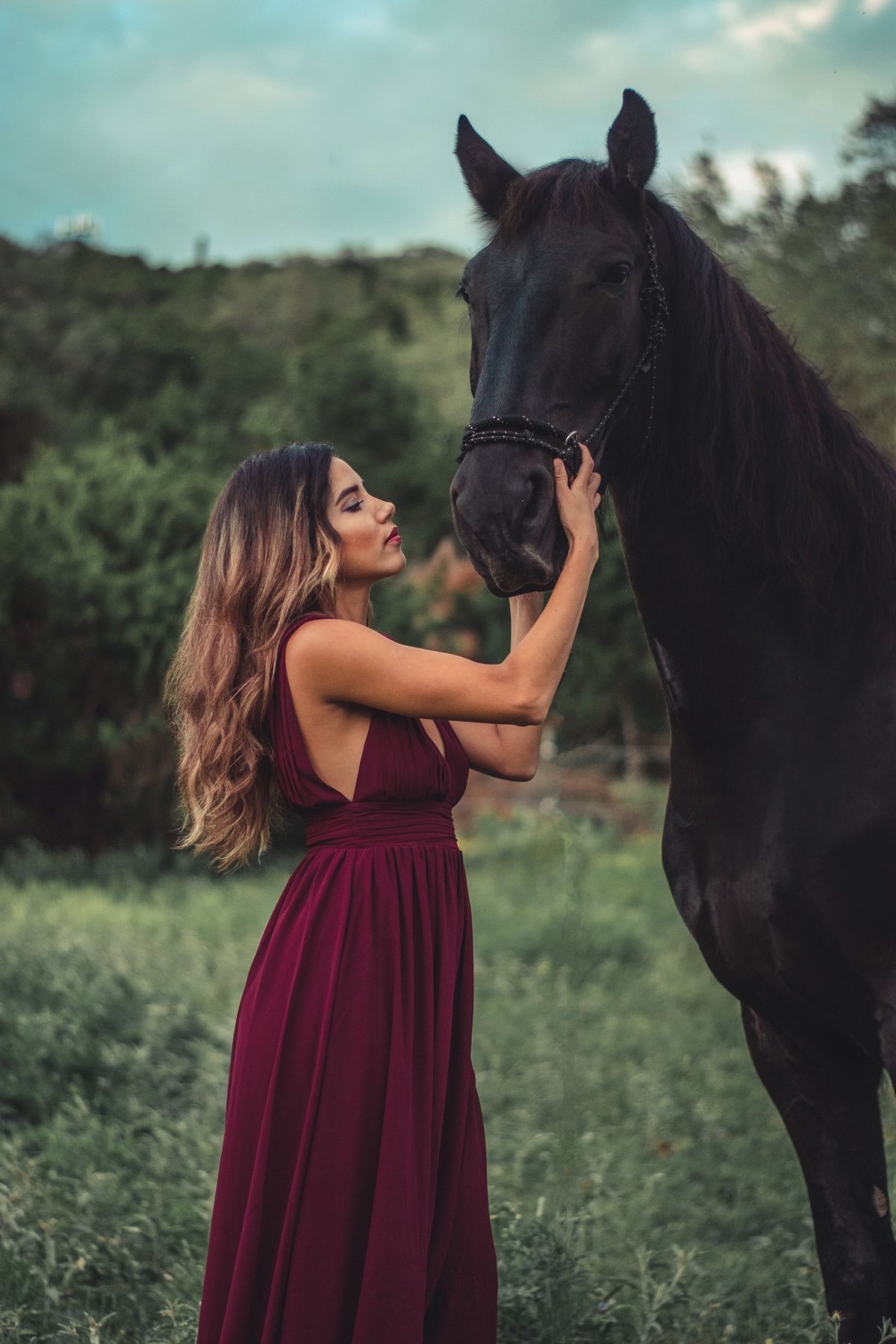 Whispering to the Friesian